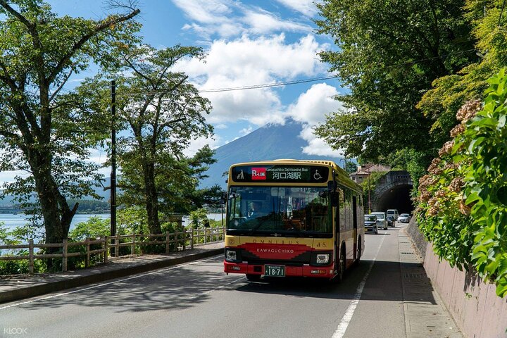 Mount Fuji Passes (optional)