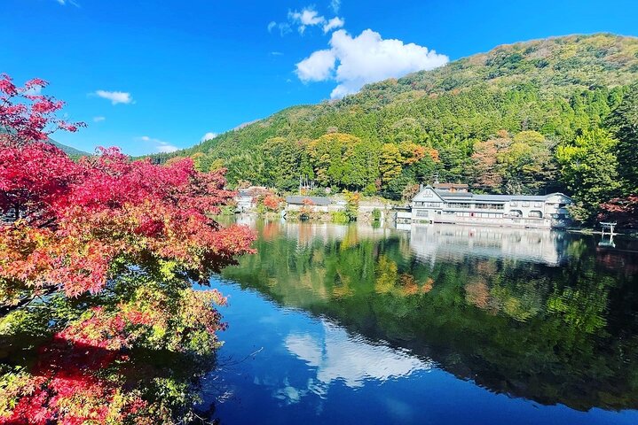 Discover Beppu and Yufuin Nature and Onsen Trip