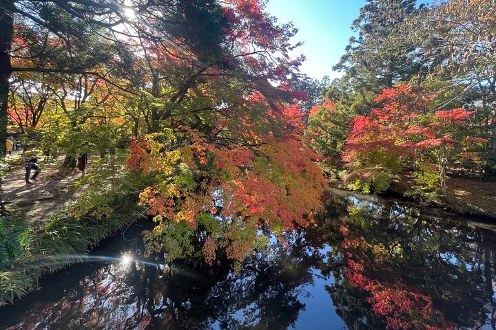 Discover Beppu and Yufuin Nature and Onsen Trip