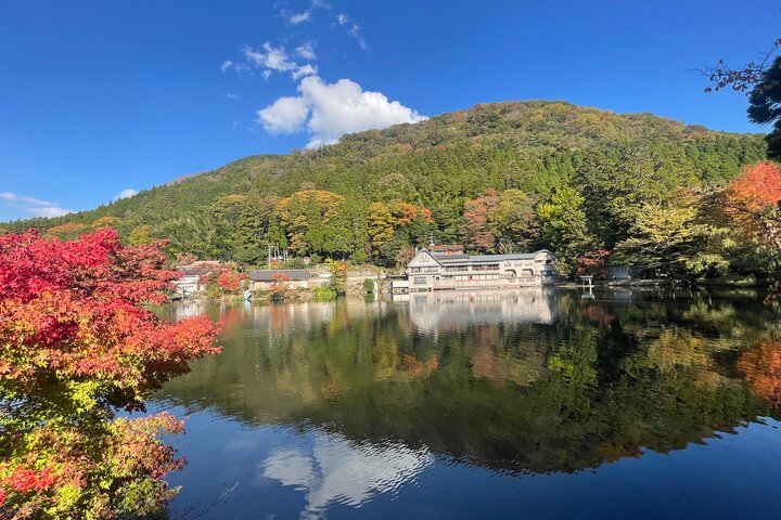 Discover Beppu and Yufuin Nature and Onsen Trip