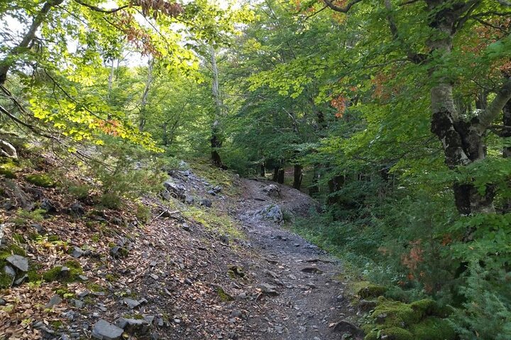 Tirana/Shkodra:Valbona to Theth Hike via Shala River (SelfGuided)