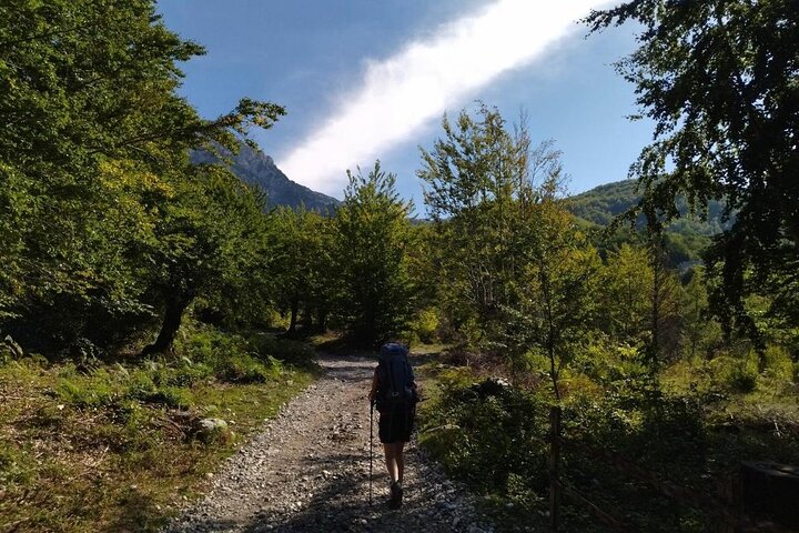 Tirana/Shkodra:Valbona to Theth Hike via Shala River (SelfGuided)