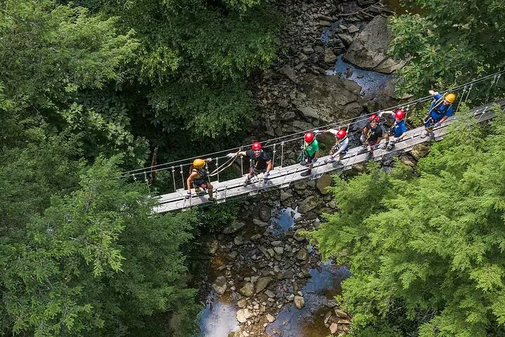 Tree Tops Zip Line Canopy Tour