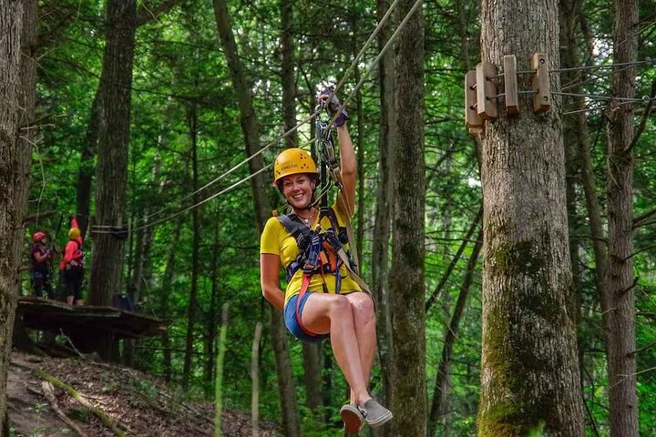 Tree Tops Zip Line Canopy Tour
