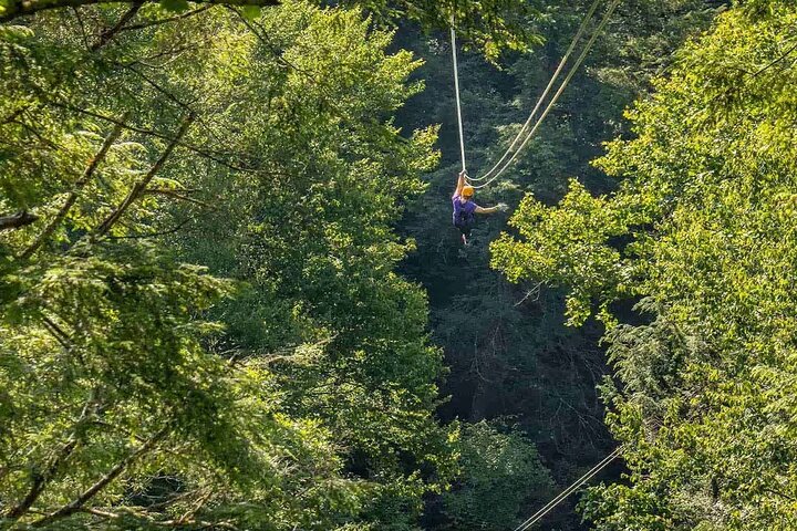 Tree Tops Zip Line Canopy Tour