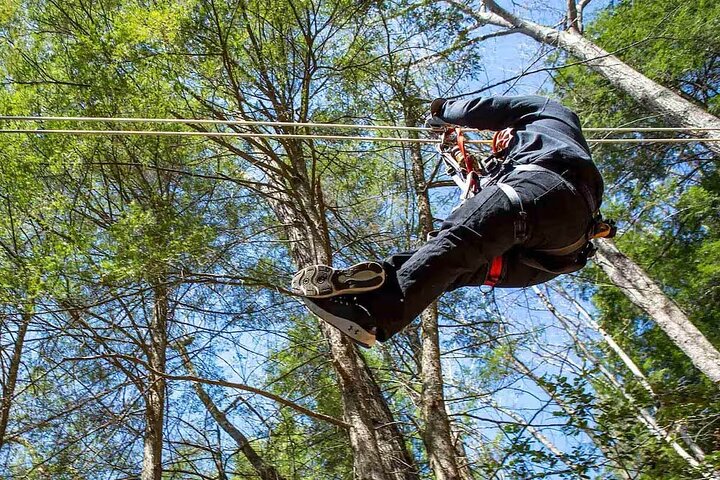 Tree Tops Zip Line Canopy Tour