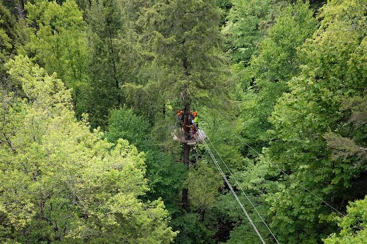 Tree Tops Zip Line Canopy Tour