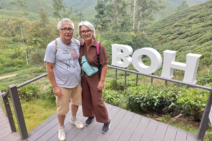 Cameron Highlands Day Trip from Ipoh with Lunch & Mossy Forest