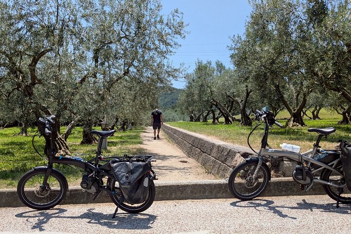 Shodoshima Full-Day E-Bike Tour: Angel Road & Rice Terraces