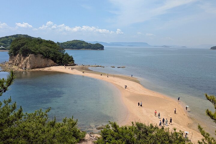 Shodoshima Full-Day E-Bike Tour: Angel Road & Rice Terraces