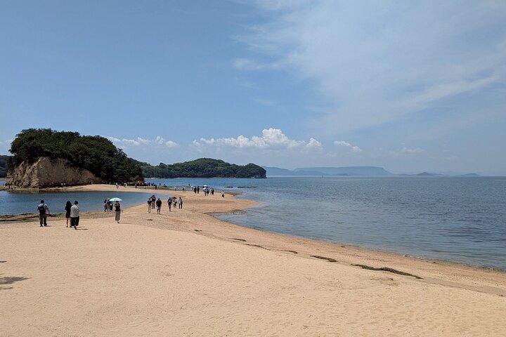 Shodoshima Full-Day E-Bike Tour: Angel Road & Rice Terraces