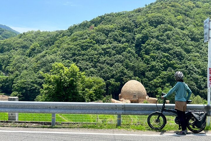 Shodoshima Full-Day E-Bike Tour: Angel Road & Rice Terraces