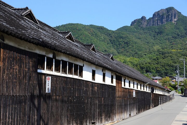 Shodoshima Full-Day E-Bike Tour: Angel Road & Rice Terraces