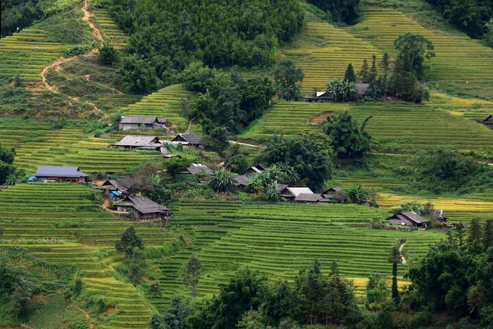 Sapa No-Trek Eco Tour: Muong Hoa Valley & Ta Van, Foot Spa, Cafe