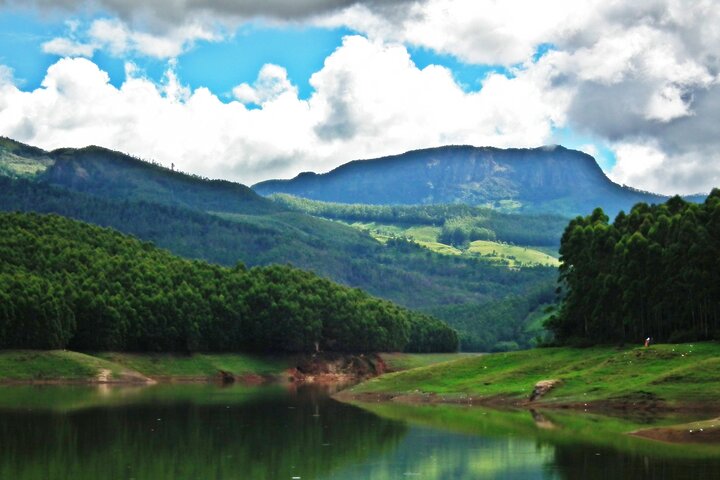 kochi to munnar A Private guided fullday tour with hotel pickup