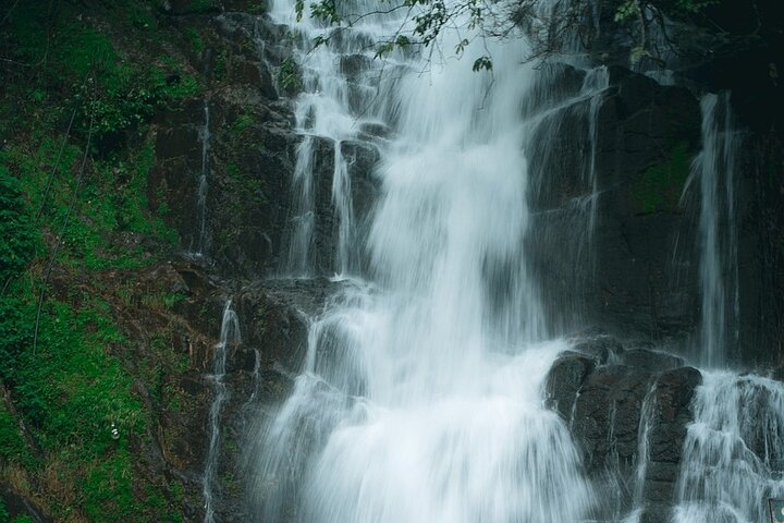 kochi to munnar A Private guided fullday tour with hotel pickup