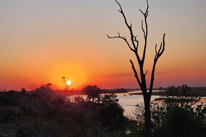 Chobe Sunrise Leopard and Lion Safari Tracking