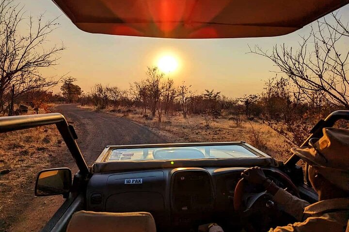 Chobe Sunrise Leopard and Lion Safari Tracking