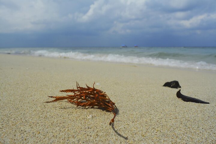 Andaman & Nicobar Islands Beach Paradise
