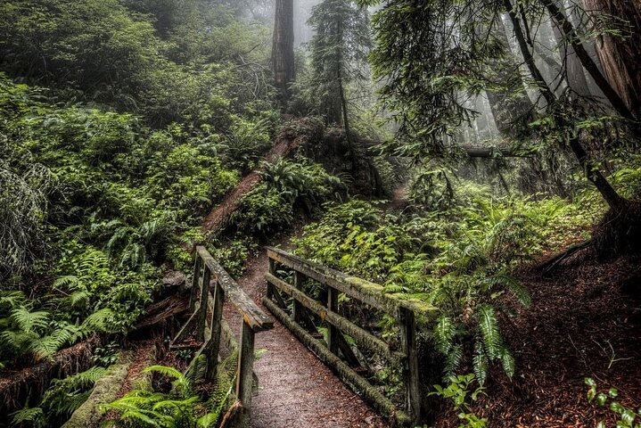 Nagaland & Assam Soft Trekking Tour in Tribal Village