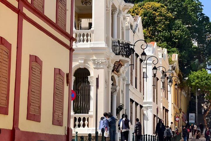 Macau Private Tour with Toyota Alphard luxury MPV limousines