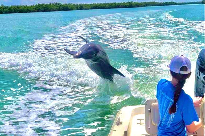Private Shelling and Dolphin Excursion