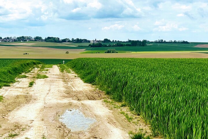 Full day Somme 110th private tour