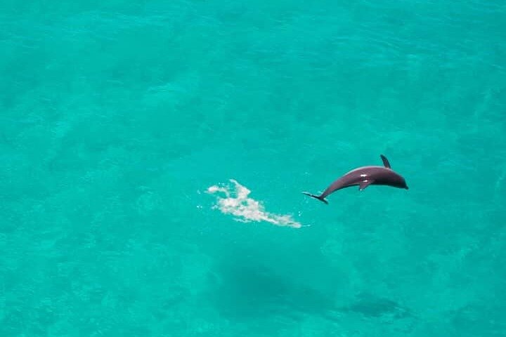 Zanzibar Full Day Private Tour with Sunset Beach & Seafood BBQ