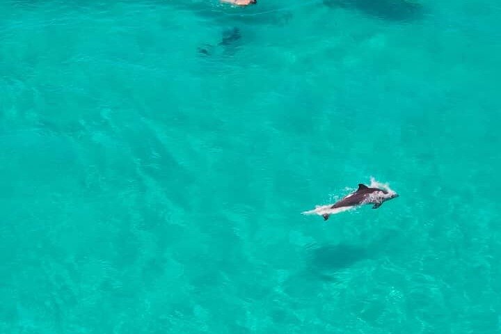 Zanzibar Full Day Private Tour with Sunset Beach & Seafood BBQ