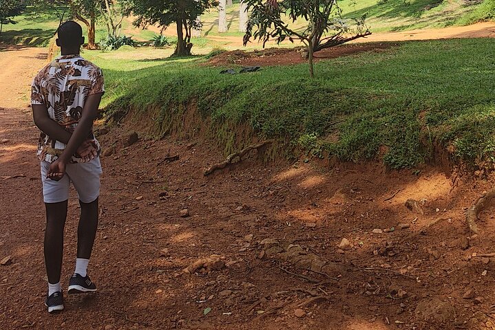 Private Botanical Garden Walking Tour in Entebbe City