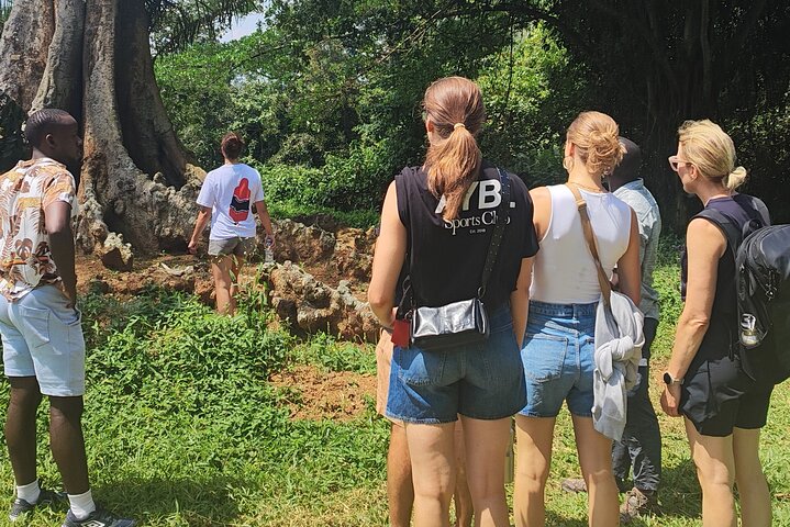 Private Botanical Garden Walking Tour in Entebbe City