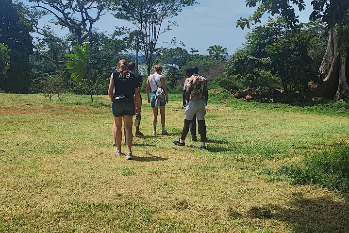 Private Botanical Garden Walking Tour in Entebbe City