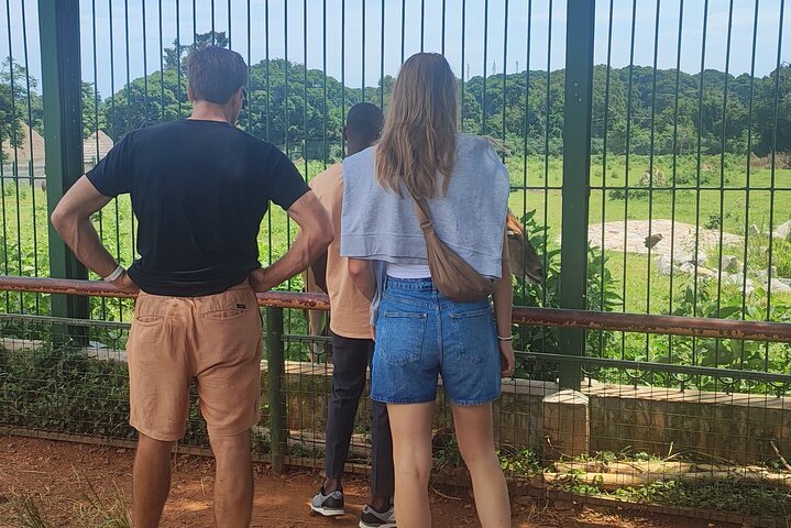 Private Botanical Garden Walking Tour in Entebbe City
