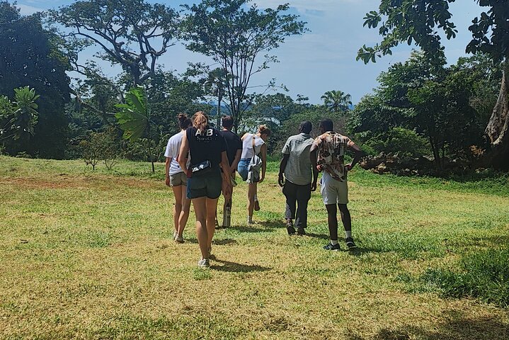 Private Botanical Garden Walking Tour in Entebbe City
