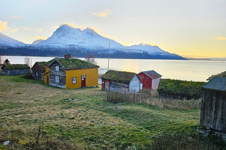 Sommarøy & Kvaløya Scenic Fjord Tour