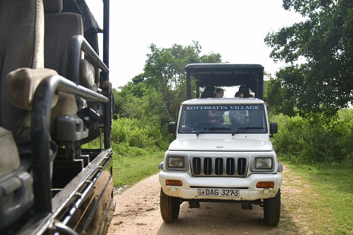 Udawalawe National Park Wildlife Safari Tours