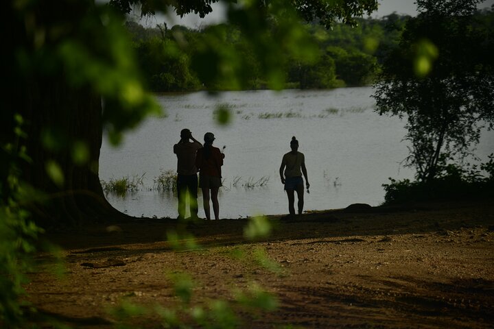Udawalawe National Park Wildlife Safari Tours