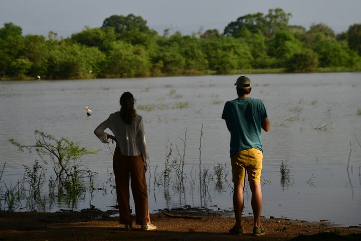 Udawalawe National Park Wildlife Safari Tours