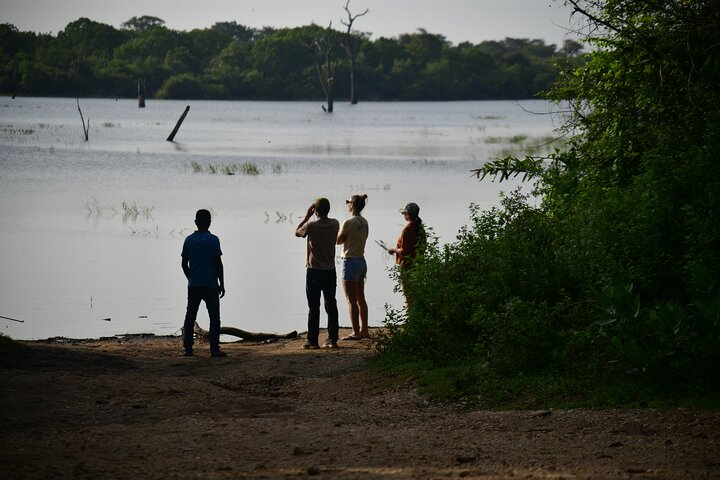 Udawalawe National Park Wildlife Safari Tours