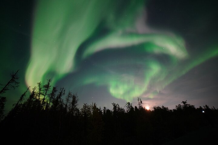 Northern Lights Tour Yellowknife