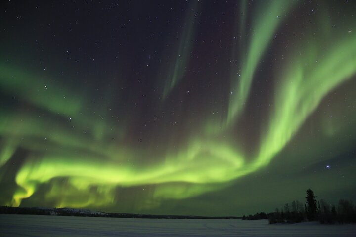 Northern Lights Tour Yellowknife