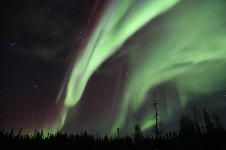 Northern Lights Tour Yellowknife