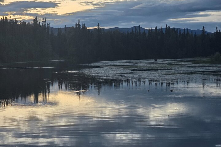 Midnight Sun Magic Chena Hot Springs Soak and Ice Museum Tour