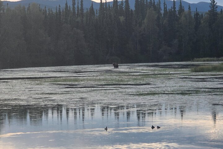 Midnight Sun Magic Chena Hot Springs Soak and Ice Museum Tour