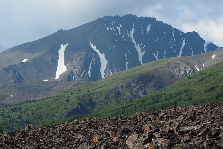 Arctic Day: Kluane National Park Tour | full day