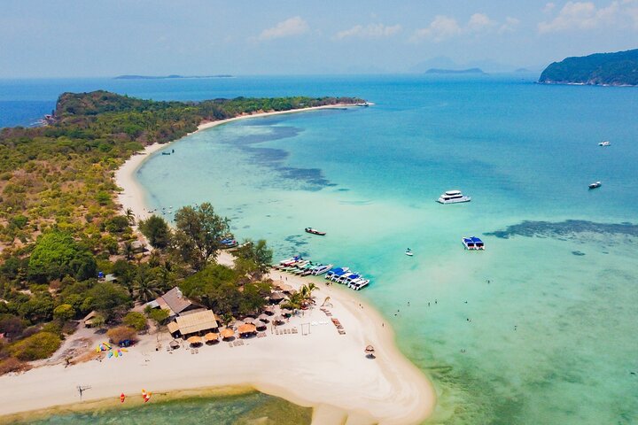 Pink Dolphin and Pig Island Snorkeling Tour from Koh Samui