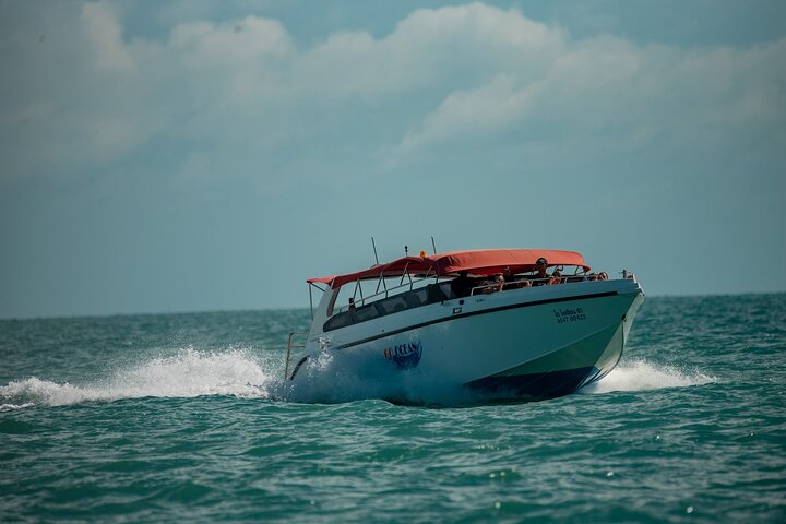 Pink Dolphin and Pig Island Snorkeling Tour from Koh Samui