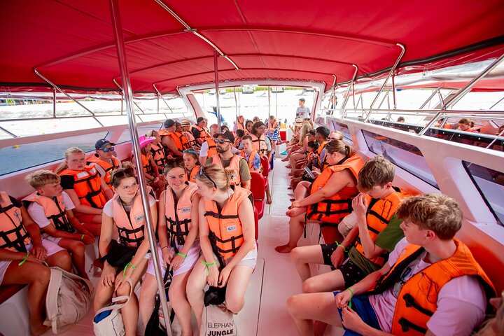 Pink Dolphin and Pig Island Snorkeling Tour from Koh Samui