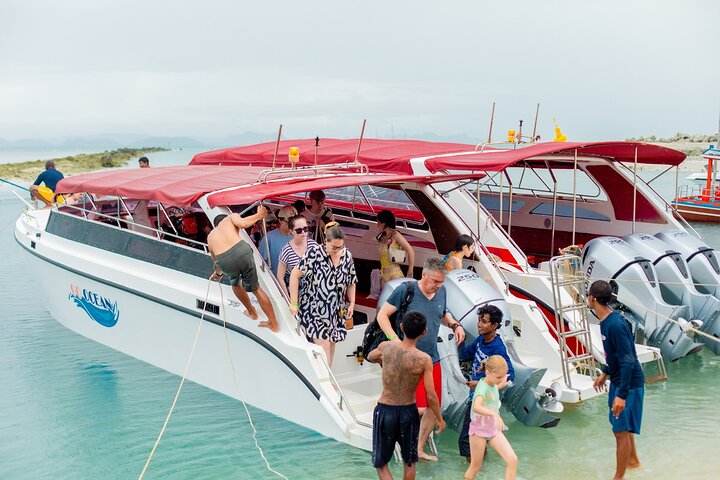 Pink Dolphin and Pig Island Snorkeling Tour from Koh Samui