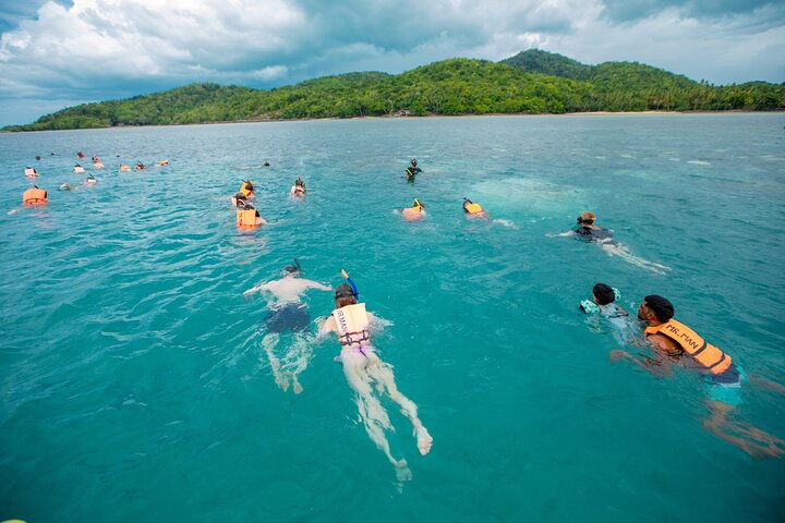 Pink Dolphin and Pig Island Snorkeling Tour from Koh Samui
